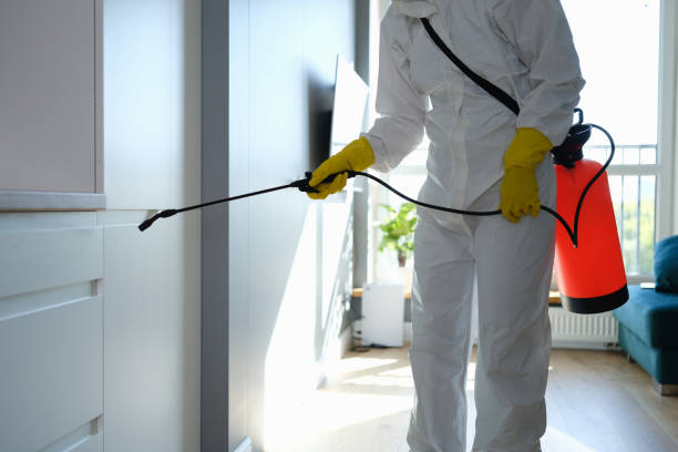 Best Industrial Mold Remediation in Ellisburg, NJ