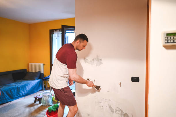 Best Commercial Mold Remediation in Ellisburg, NJ